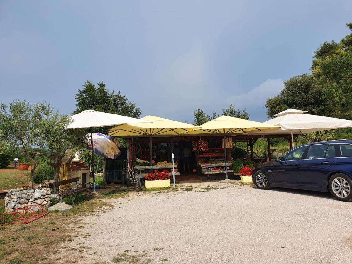 Mobile Home Leggiero 156 - Porton Nature Hideouts Rovinj Exterior photo